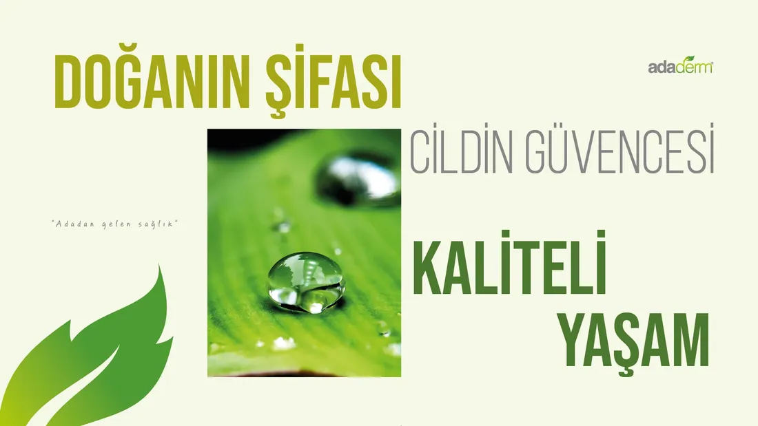 AdaDerm sunumundan görsel 7