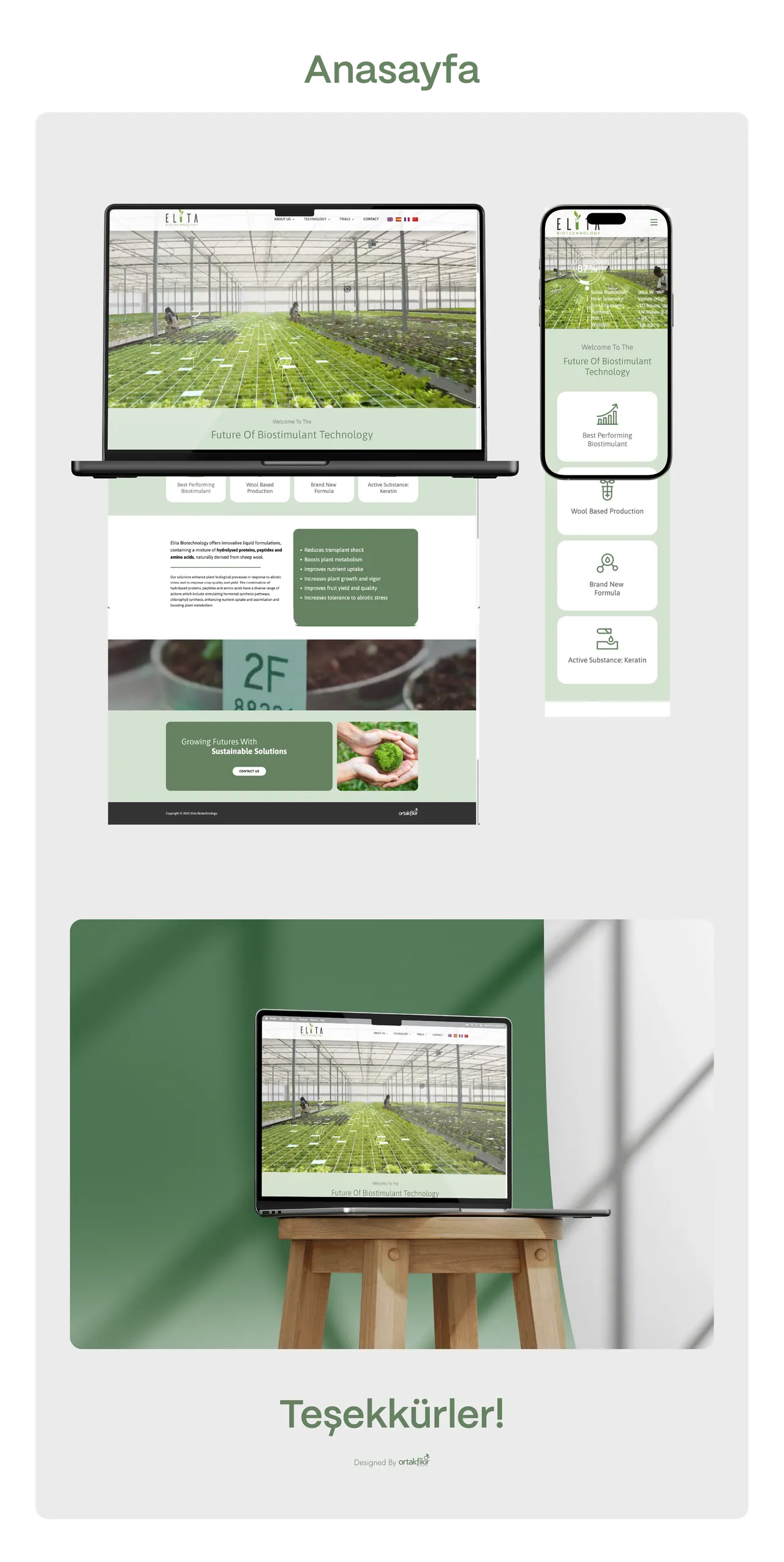 Elita Biotechnology web sitesi tasarımı, görsel 4