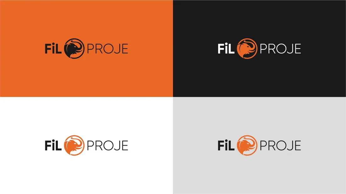 Fil Proje sunumundan görsel 7