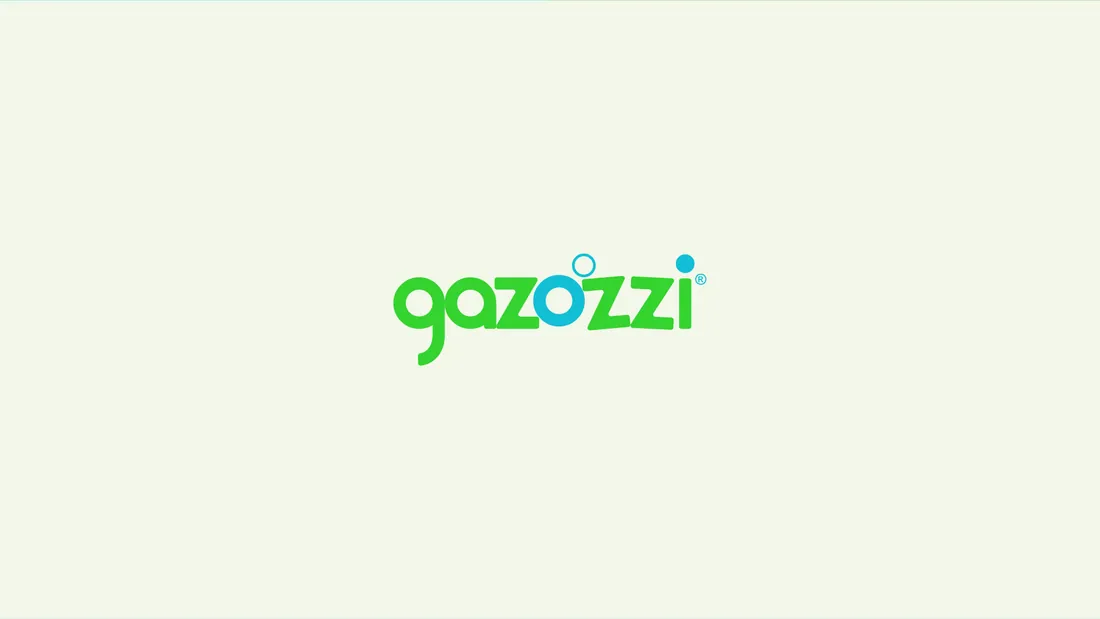 Gazozzi sunumundan görsel 3